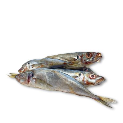 Jack Mackerel Sprats 5